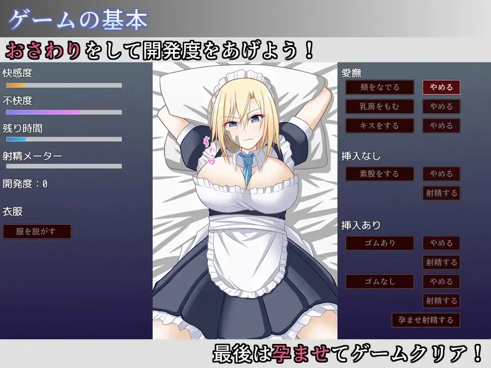 お屋敷メイド妊娠計画游戏攻略中的角色状态与操作界面示意
